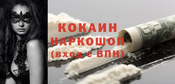 стаф Кулебаки