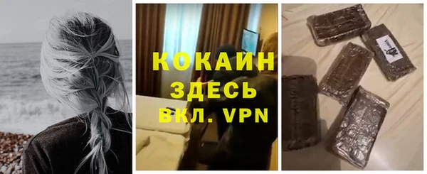 стаф Кулебаки