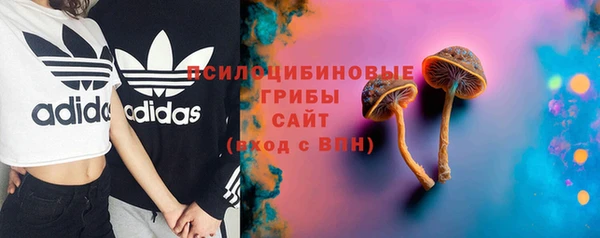 мдпв Чита
