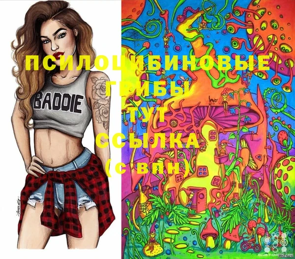 гидропоника Куйбышев