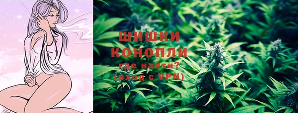 стаф Кулебаки
