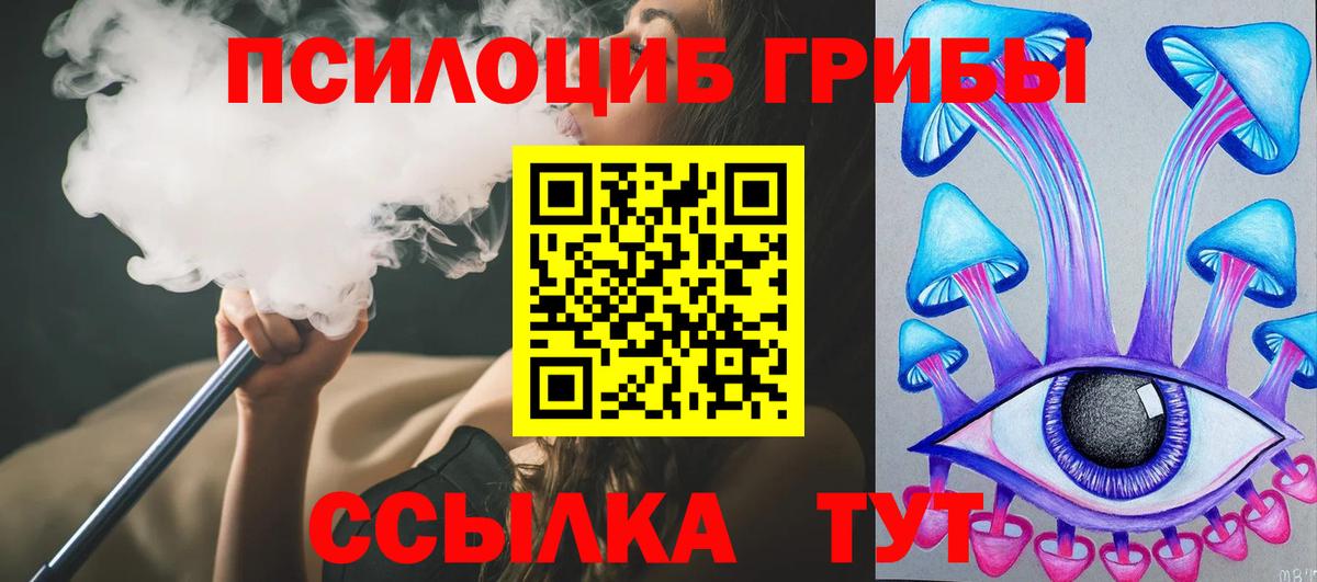 Псилоцибиновые грибы Psilocybe Кемерово