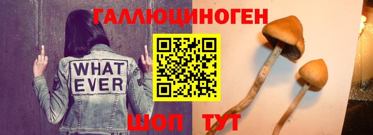 Псилоцибиновые грибы прущие грибы  Вход с VPN  Кемерово 